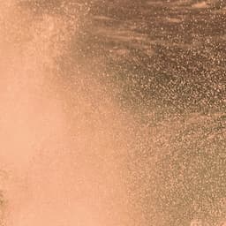 Black Friday ORIGINAL TAN Package